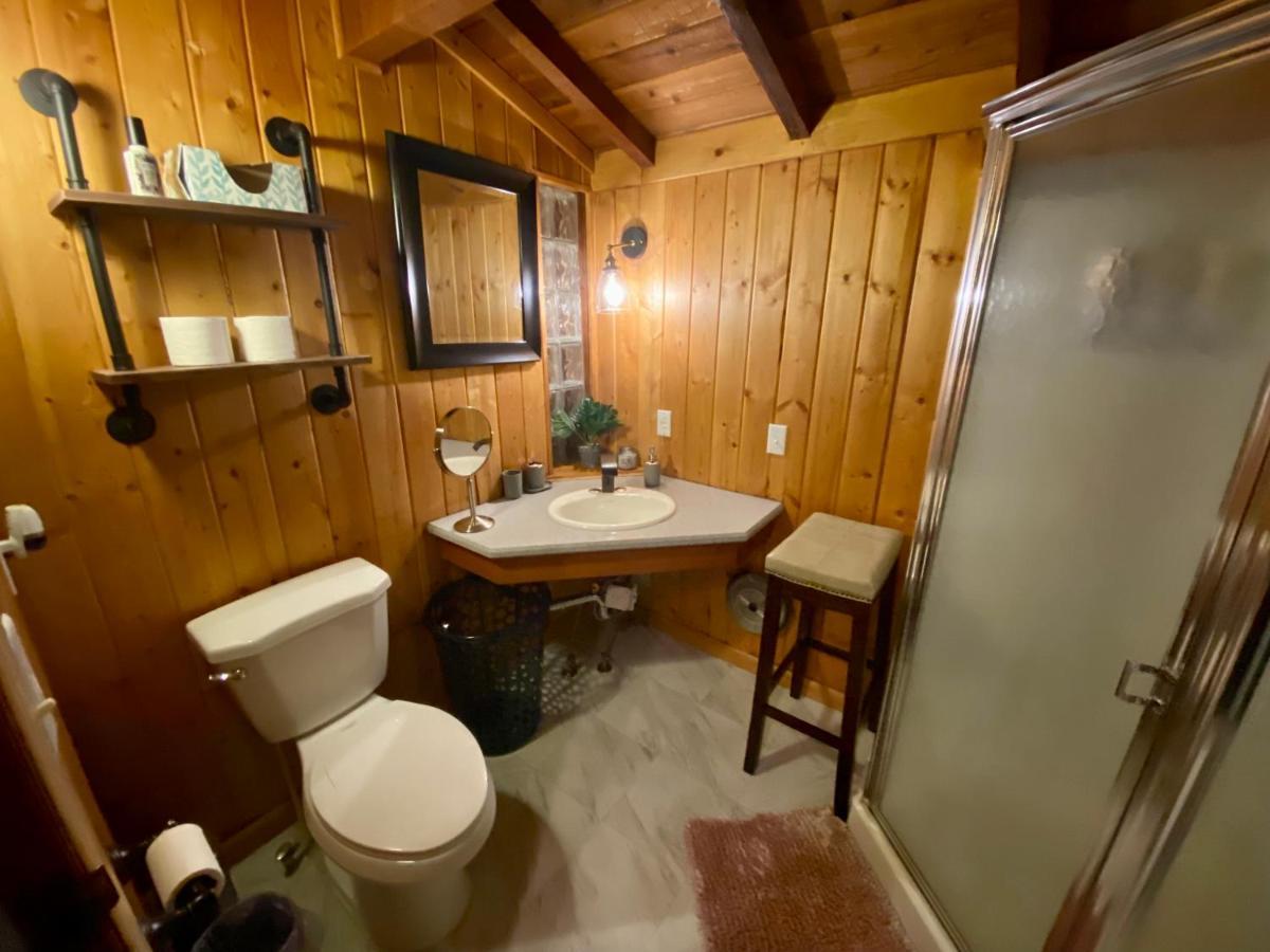 Snow Bunny Cottage, Pets Welcomed! Green Valley Lake Ngoại thất bức ảnh