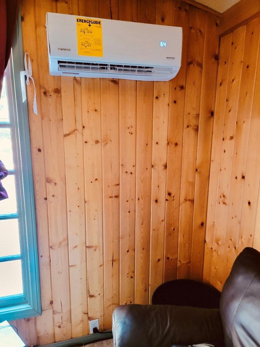 Snow Bunny Cottage, Pets Welcomed! Green Valley Lake Ngoại thất bức ảnh